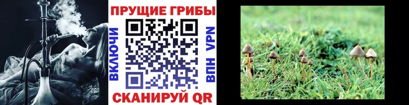 Галлюциногенные грибы MAGIC MUSHROOMS  маркетплейс телеграм  Красавино 